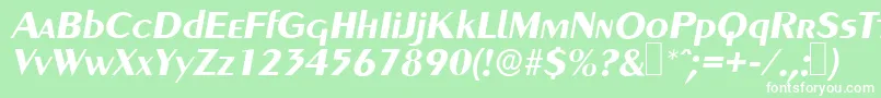 GreyhoundBolditalic Font – White Fonts on Green Background