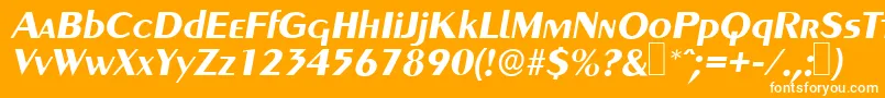 GreyhoundBolditalic Font – White Fonts on Orange Background