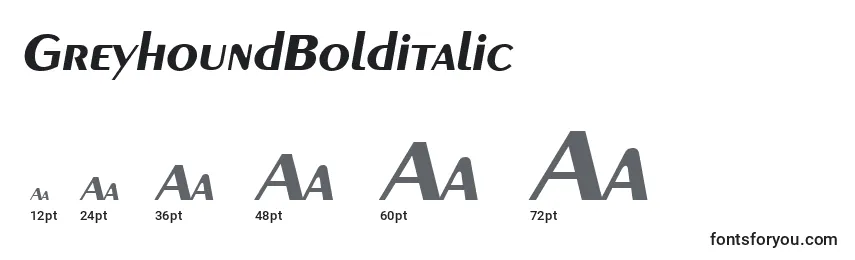 GreyhoundBolditalic Font Sizes