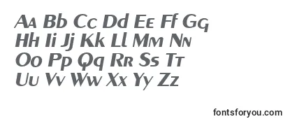 GreyhoundBolditalic Font