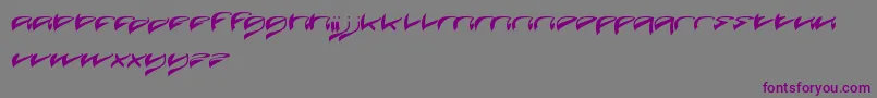 JavaIsland Font – Purple Fonts on Gray Background