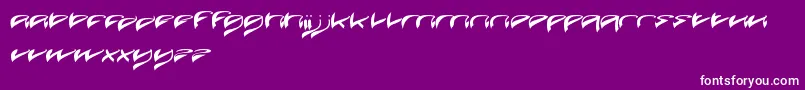 JavaIsland Font – White Fonts on Purple Background