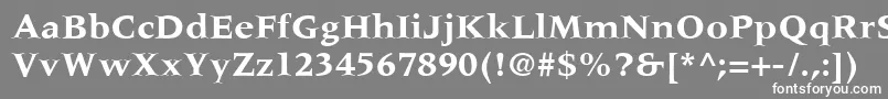 MeridienLtBold Font – White Fonts on Gray Background