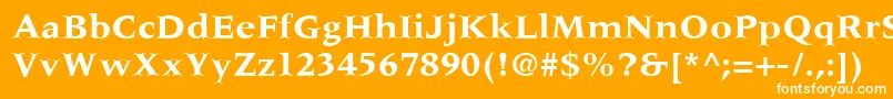 フォントMeridienLtBold – オレンジの背景に白い文字