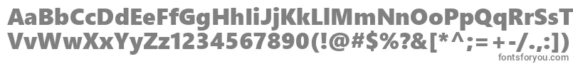 フォントSegoeUiBlack – 白い背景に灰色の文字