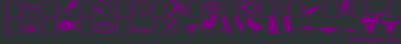 TillieRegular Font – Purple Fonts on Black Background