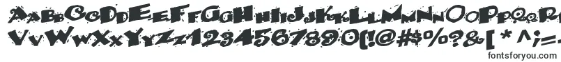 Backwater52Bold-fontti – Alkavat B:lla olevat fontit