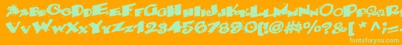More about Backwater52Bold Font Backwater52Bold Font – Green Fonts on Orange Background