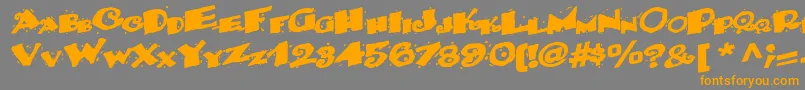 Backwater52Bold-fontti – oranssit fontit harmaalla taustalla
