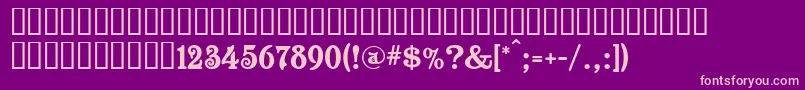Casanova Font – Pink Fonts on Purple Background