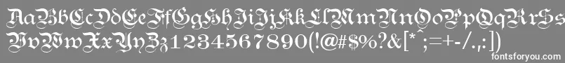 フォントKanzl – 灰色の背景に白い文字