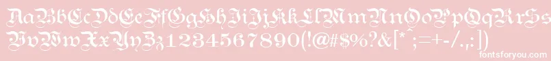 Kanzl Font – White Fonts on Pink Background