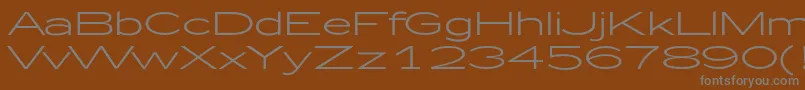 フォントZeppelin51 – 茶色の背景に灰色の文字