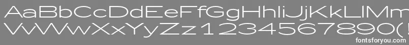 フォントZeppelin51 – 灰色の背景に白い文字