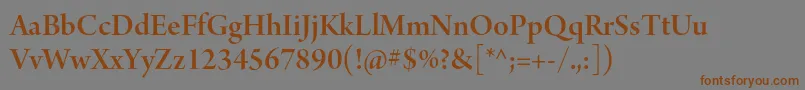 ArnoproSmbddisplay Font – Brown Fonts on Gray Background