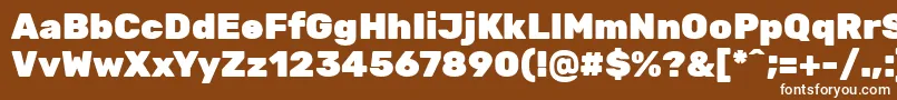 RubikBlack Font – White Fonts on Brown Background