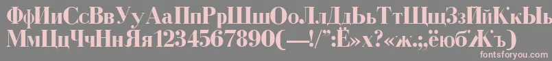 CyrillicBold Font – Pink Fonts on Gray Background