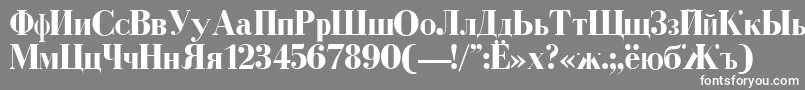 CyrillicBold-Schriftart – Weiße Schriften auf grauem Hintergrund