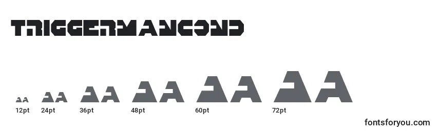 Triggermancond Font Sizes