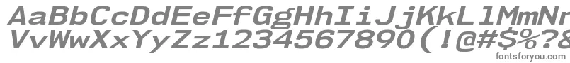 Nk57MonospaceExBdIt Font – Gray Fonts on White Background