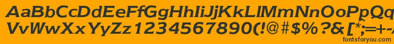 Nebraska ffy Font – Black Fonts on Orange Background