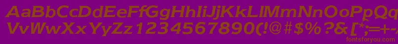 Шрифт Nebraska ffy – коричневые шрифты на фиолетовом фоне