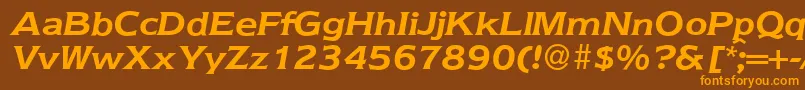 Nebraska ffy Font – Orange Fonts on Brown Background