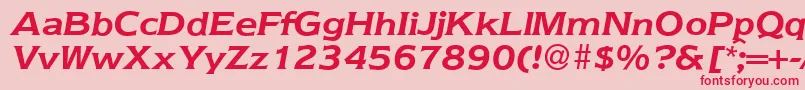 Nebraska ffy Font – Red Fonts on Pink Background