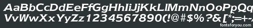Nebraska ffy Font – White Fonts on Black Background