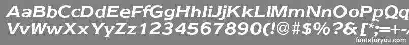 Nebraska ffy Font – White Fonts on Gray Background