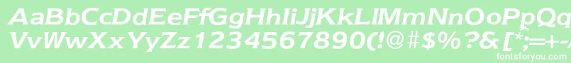 Nebraska ffy Font – White Fonts on Green Background
