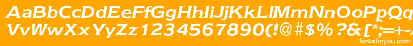 フォントNebraska ffy – オレンジの背景に白い文字