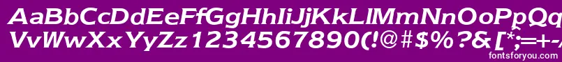 Nebraska ffy Font – White Fonts on Purple Background