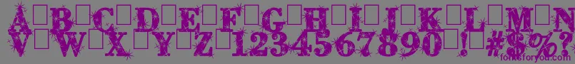 CityOfLight Font – Purple Fonts on Gray Background