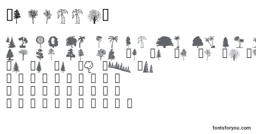 Wmtrees1 Font – alphabet, numbers, special characters
