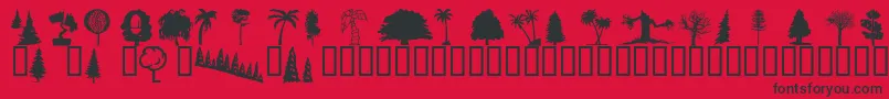 Wmtrees1 Font – Black Fonts on Red Background