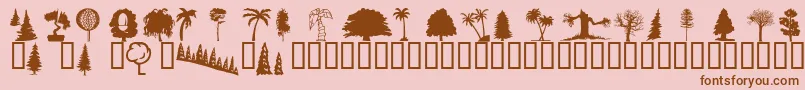 Wmtrees1 Font – Brown Fonts on Pink Background