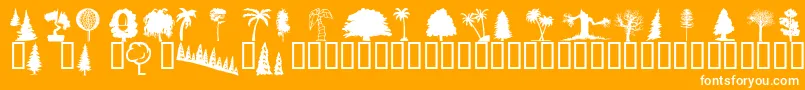 Wmtrees1-Schriftart – Weiße Schriften auf orangefarbenem Hintergrund