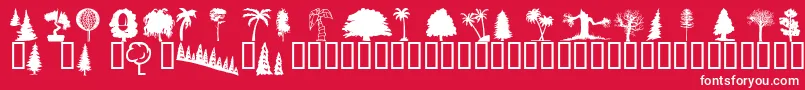 Wmtrees1 Font – White Fonts on Red Background