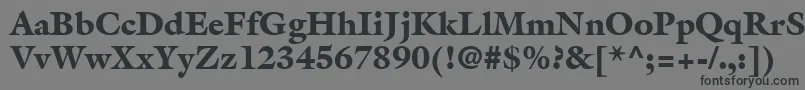 Шрифт AcanthusBlackSsiBlack – чёрные шрифты на сером фоне