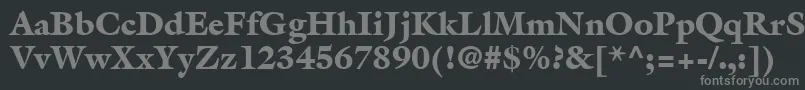 フォントAcanthusBlackSsiBlack – 黒い背景に灰色の文字