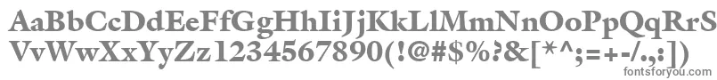 AcanthusBlackSsiBlack Font – Gray Fonts on White Background