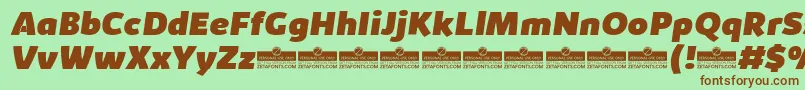 KabrioHeavyItalicTrial Font – Brown Fonts on Green Background