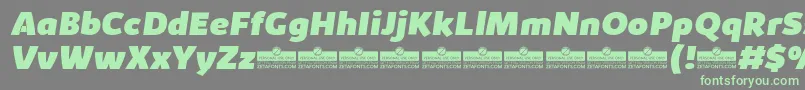 KabrioHeavyItalicTrial Font – Green Fonts on Gray Background