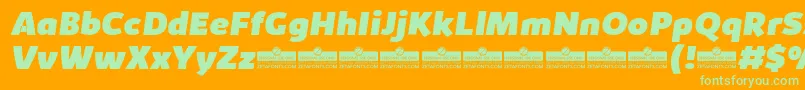 KabrioHeavyItalicTrial Font – Green Fonts on Orange Background