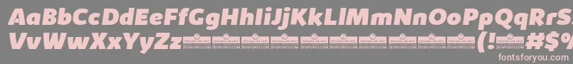 KabrioHeavyItalicTrial Font – Pink Fonts on Gray Background
