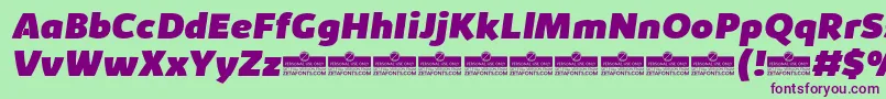 KabrioHeavyItalicTrial Font – Purple Fonts on Green Background