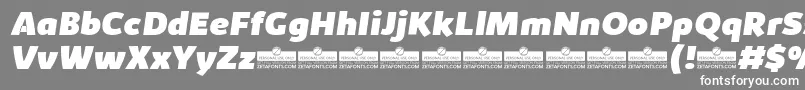 KabrioHeavyItalicTrial Font – White Fonts on Gray Background