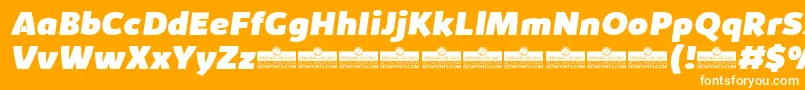 KabrioHeavyItalicTrial Font – White Fonts on Orange Background
