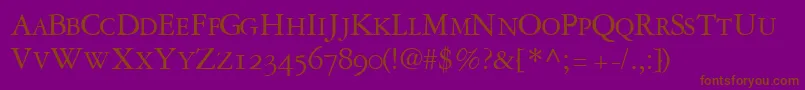 GaramondrepriseosscapssskRegular Font – Brown Fonts on Purple Background